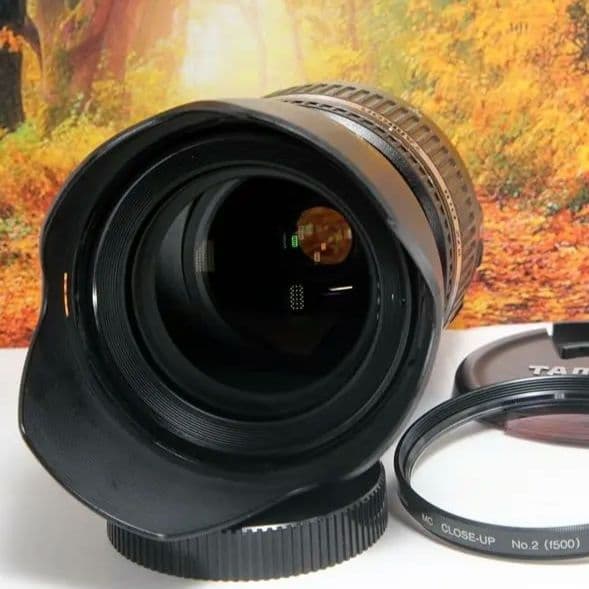 ❤手ぶれ補正&明るく撮れる♪タムロン17-50mm VC E005 キヤノン用❤