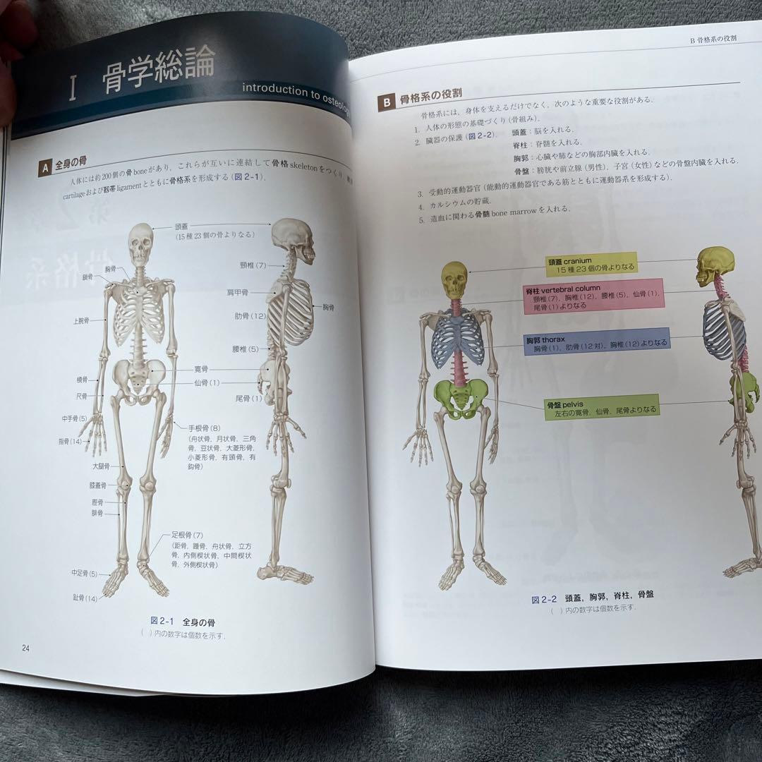 日本人体解剖学 上 改訂20版