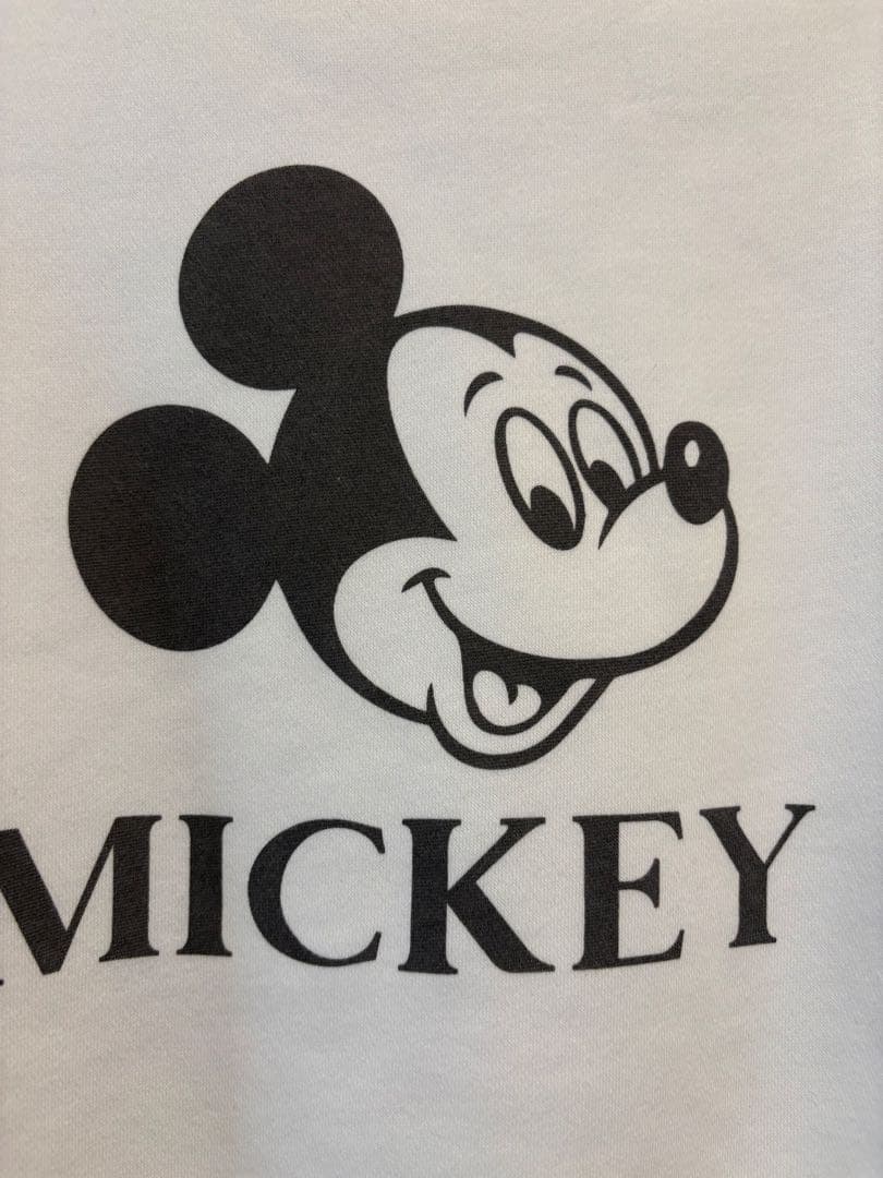 ジャーナルスタンダード レサージュ ミッキー スウェットプルオーバー