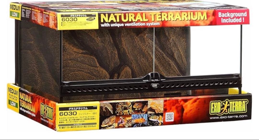 EXO TERRA 6030 ミディアムテラリウムと冷凍ラットセット グラステラリウム6030 エキゾテラ GEX ガラス飼育ケージ 販売 通販