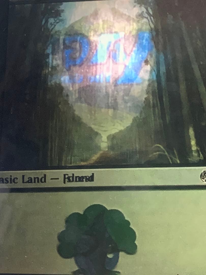 MTG エラーカード 1枚 島 森 メルカリ限定出品 - メルカリ