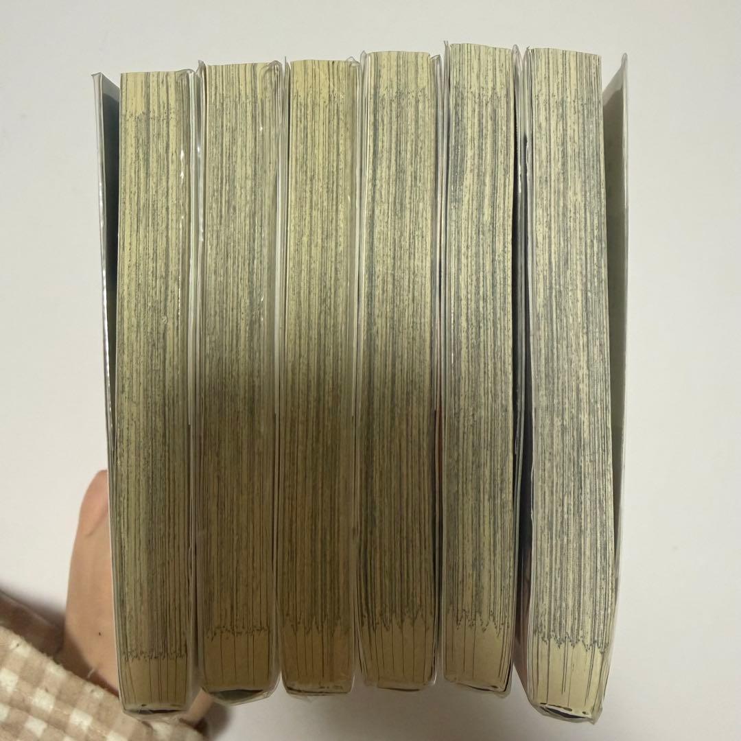 テンカウント 全巻セット 1-6巻 - メルカリ