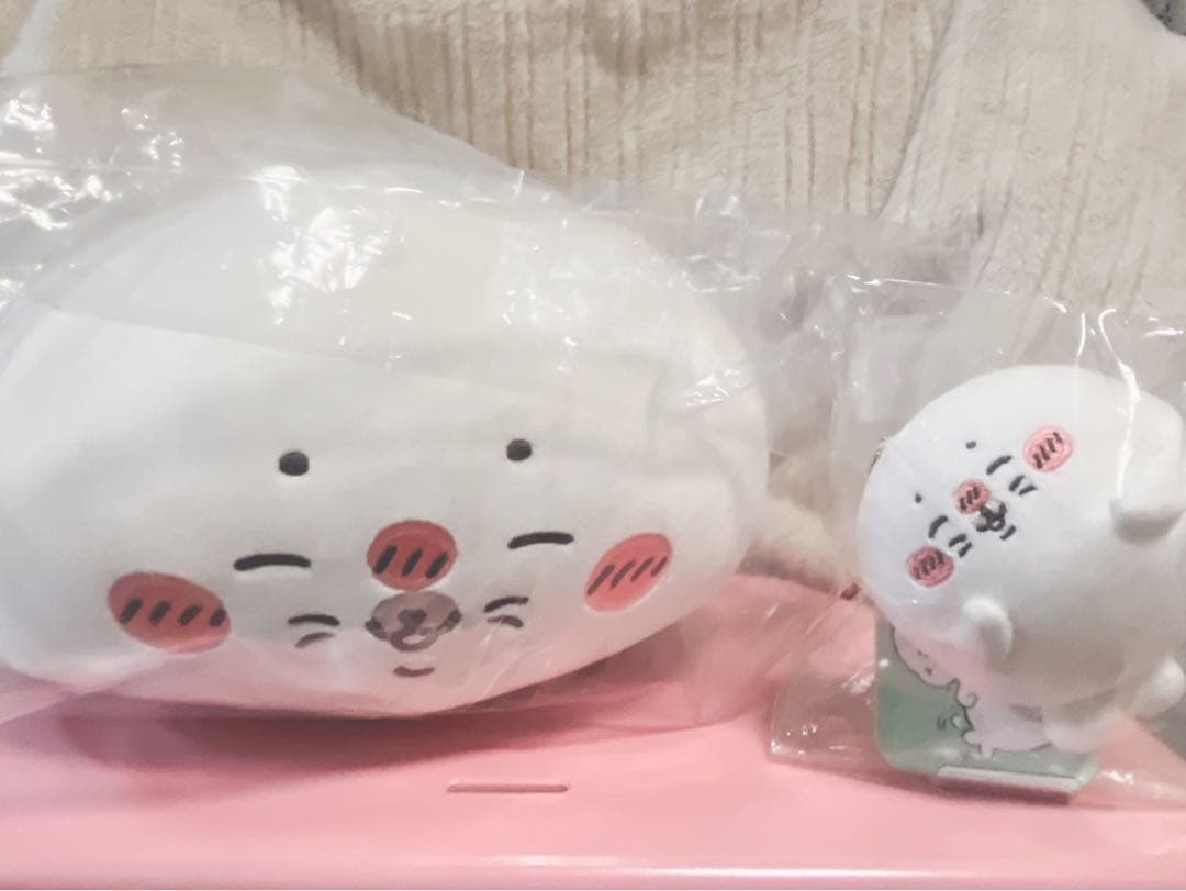 ナガノの水族館 アザラシぬいぐるみくじ B賞 D賞 - メルカリ