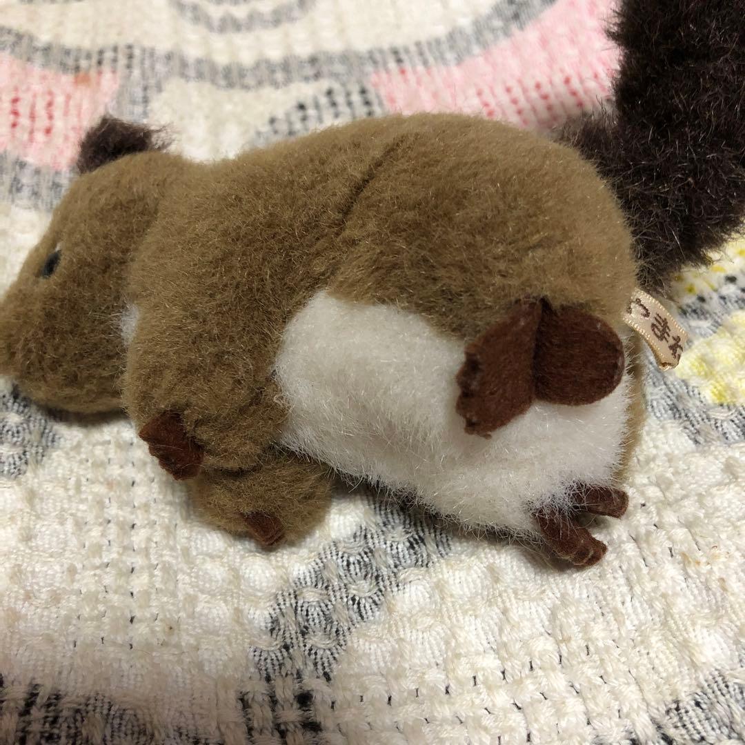 やまね工房 エゾリス ぬいぐるみ 中古品 落合けいこ - メルカリ