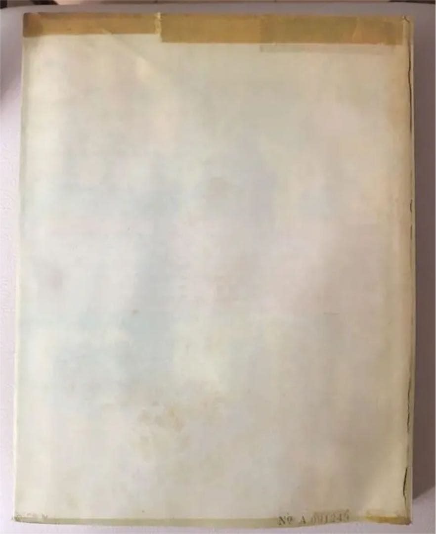 本＋ライブDVD UNICORN 秘宝 Hi-ho