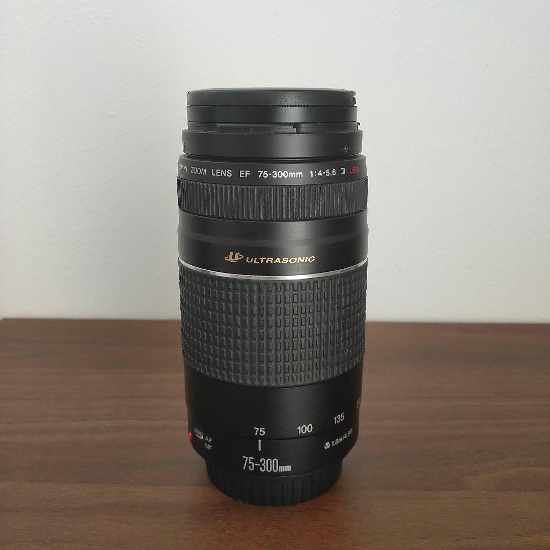 【外観美品】Canon キャノン EF 75-300mm f/4-5.6 III
