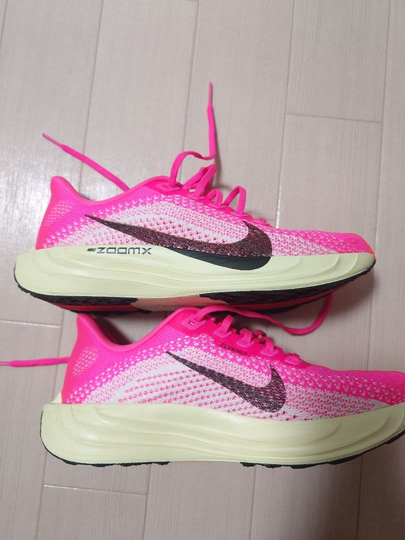 NIKE　ランニングシューズ ペガサス プラス 25.0cm