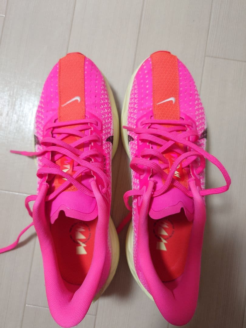 NIKE　ランニングシューズ ペガサス プラス 25.0cm