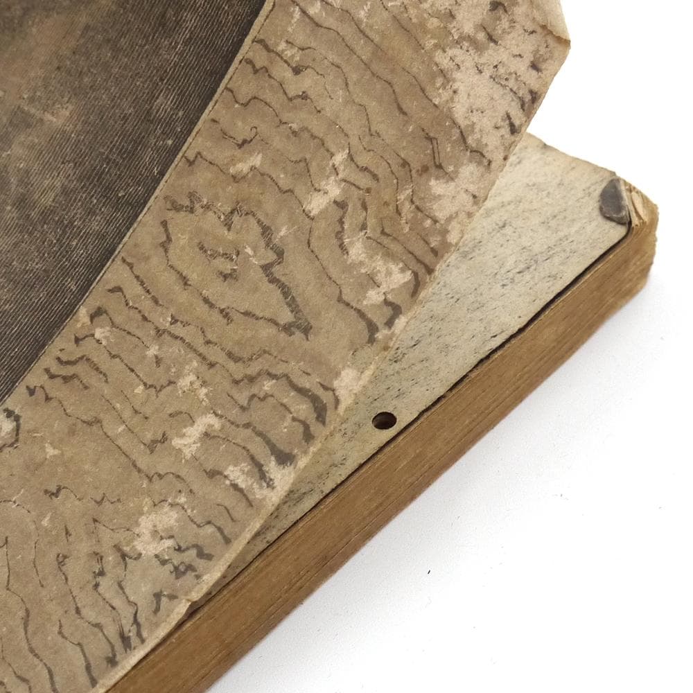 稀覯※ 抱一庵主人 明治二十四年 初版 【 闇中政治家 】 原抱一庵 春陽