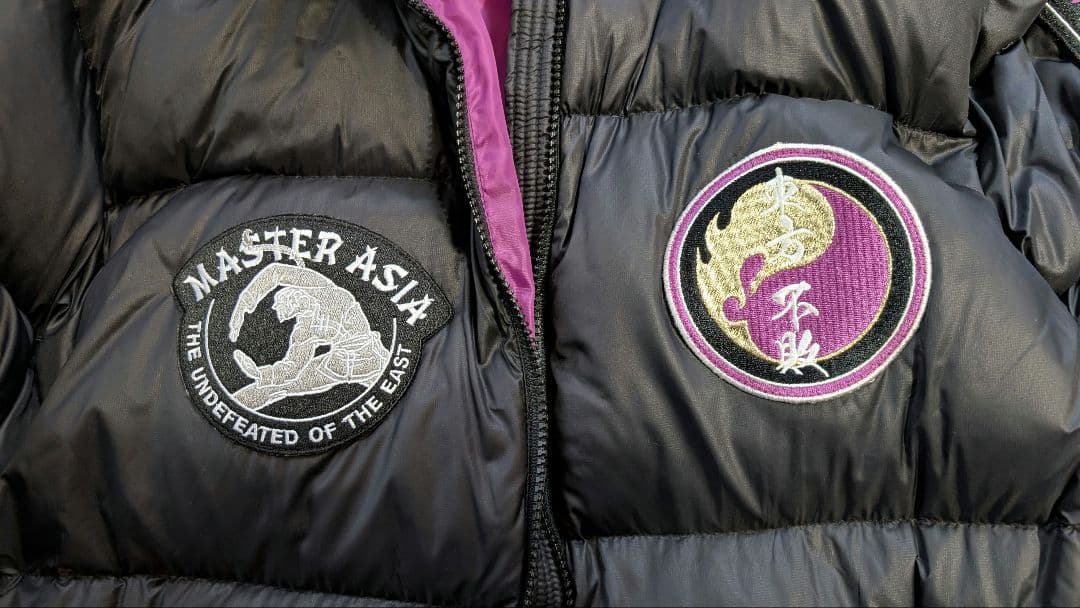 東方不敗マスターアジア ダウンジャケット STRICT-G 機動武闘伝G