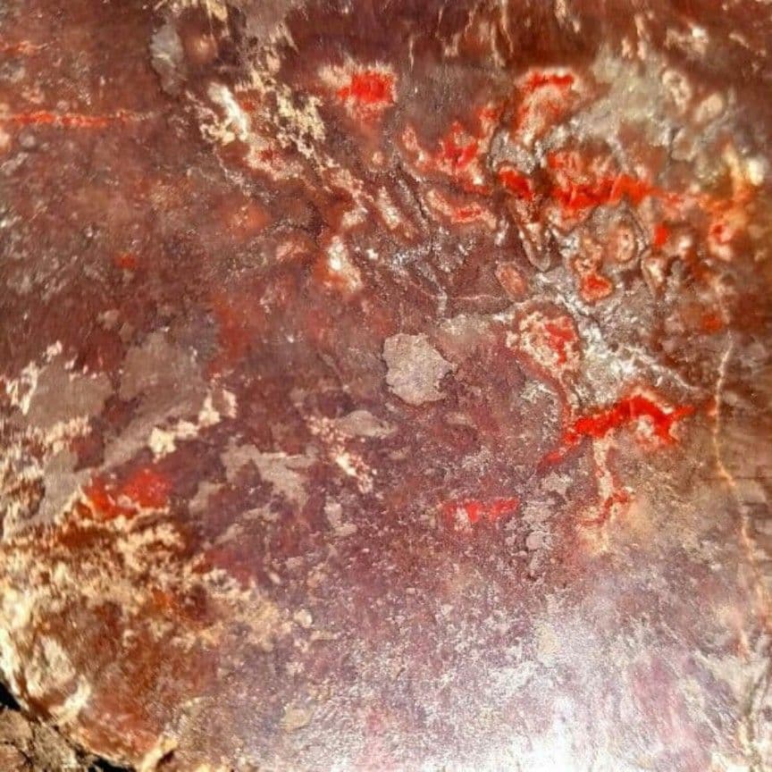 特大 本物 大型肉食恐竜の糞の化石 多彩 メノウ化 標本 1866グラム