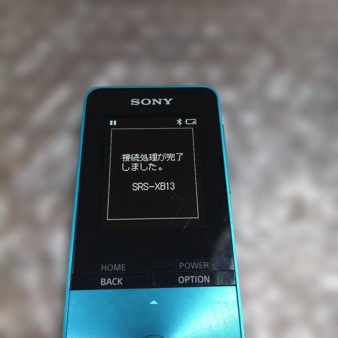 タツパン様専用ソニーウォークマン NW−S313 管理ナンバー1257 - メルカリ