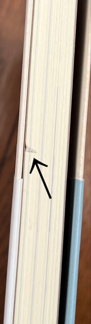 メイク　美容系　本まとめ売り　河北裕介　濱田マサル　神崎恵