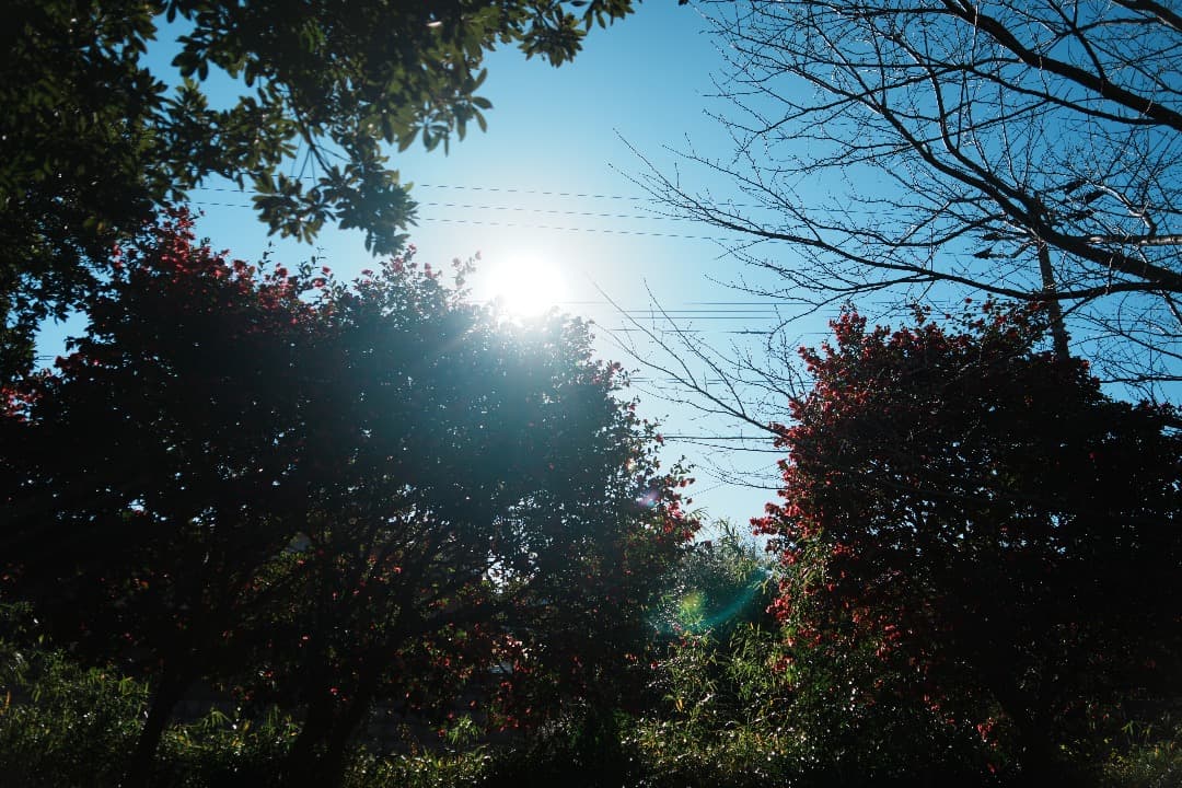 【運動会も旅行も】SEL24240 美品 箱付 10倍ズーム これ1本で完結