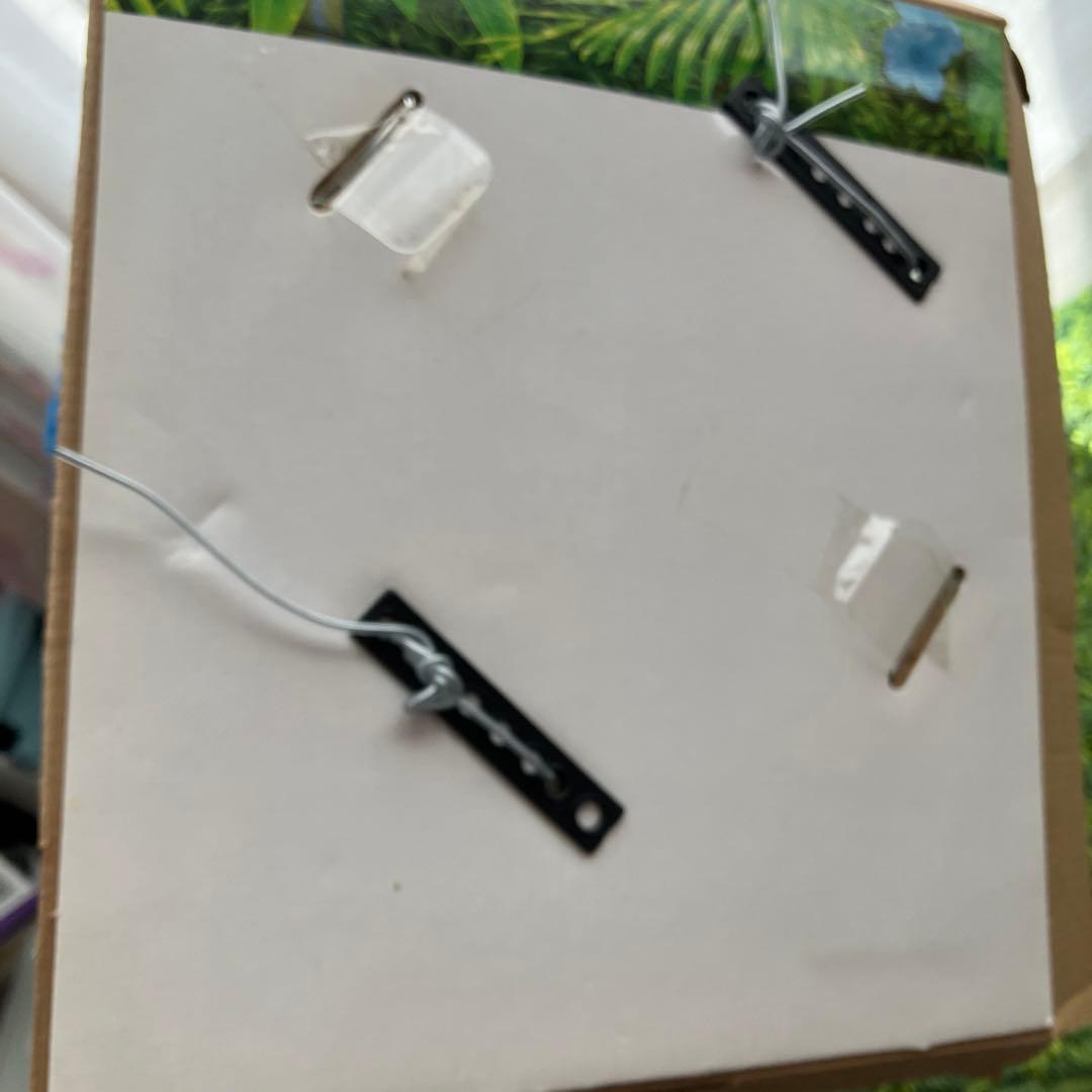 夢おうむ ぬいぐるみ いんこ セガトイズ 鳥 野鳥 南国 本体のみ