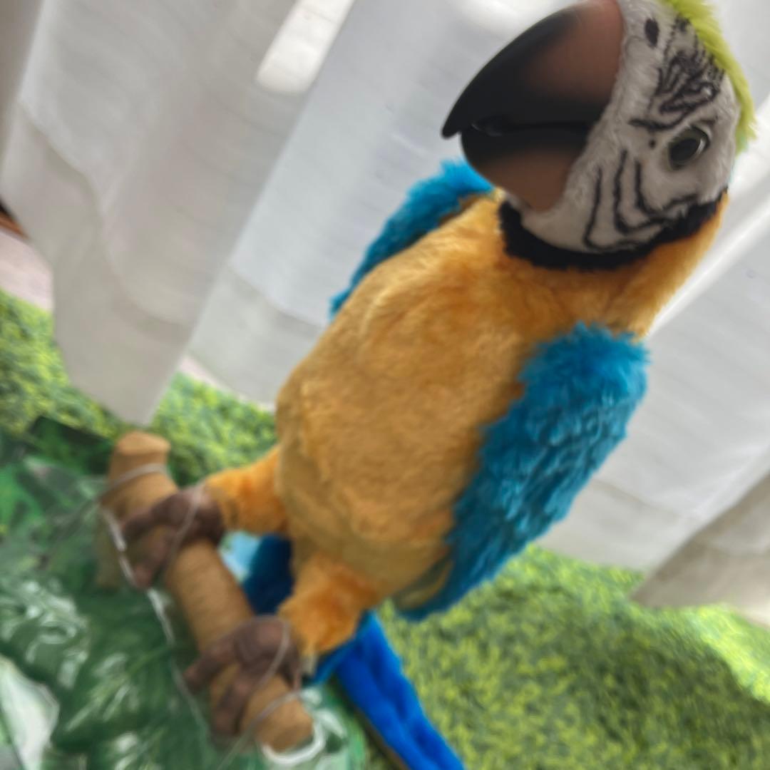 夢おうむ ぬいぐるみ いんこ セガトイズ 鳥 野鳥 南国 本体のみ