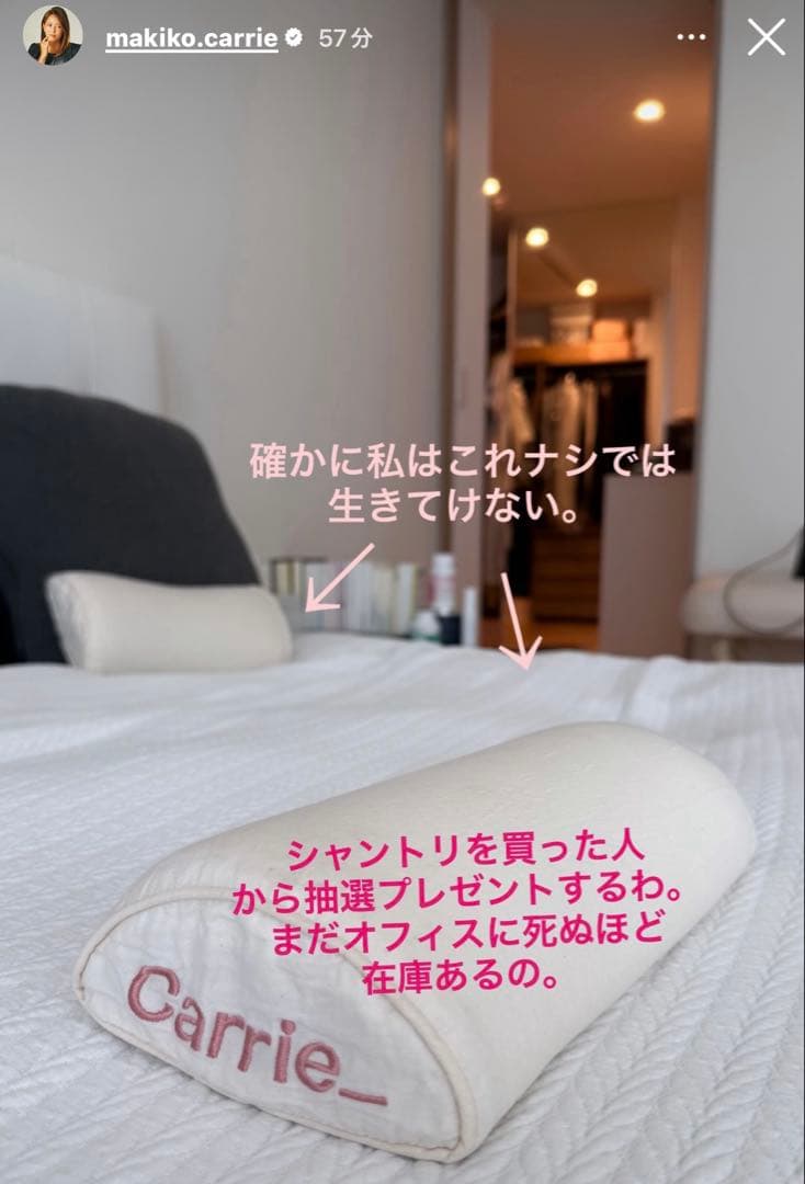 希少 河村真木子 首枕 ピロー carrie 炭酸パック 肩 シャンプー - メルカリ