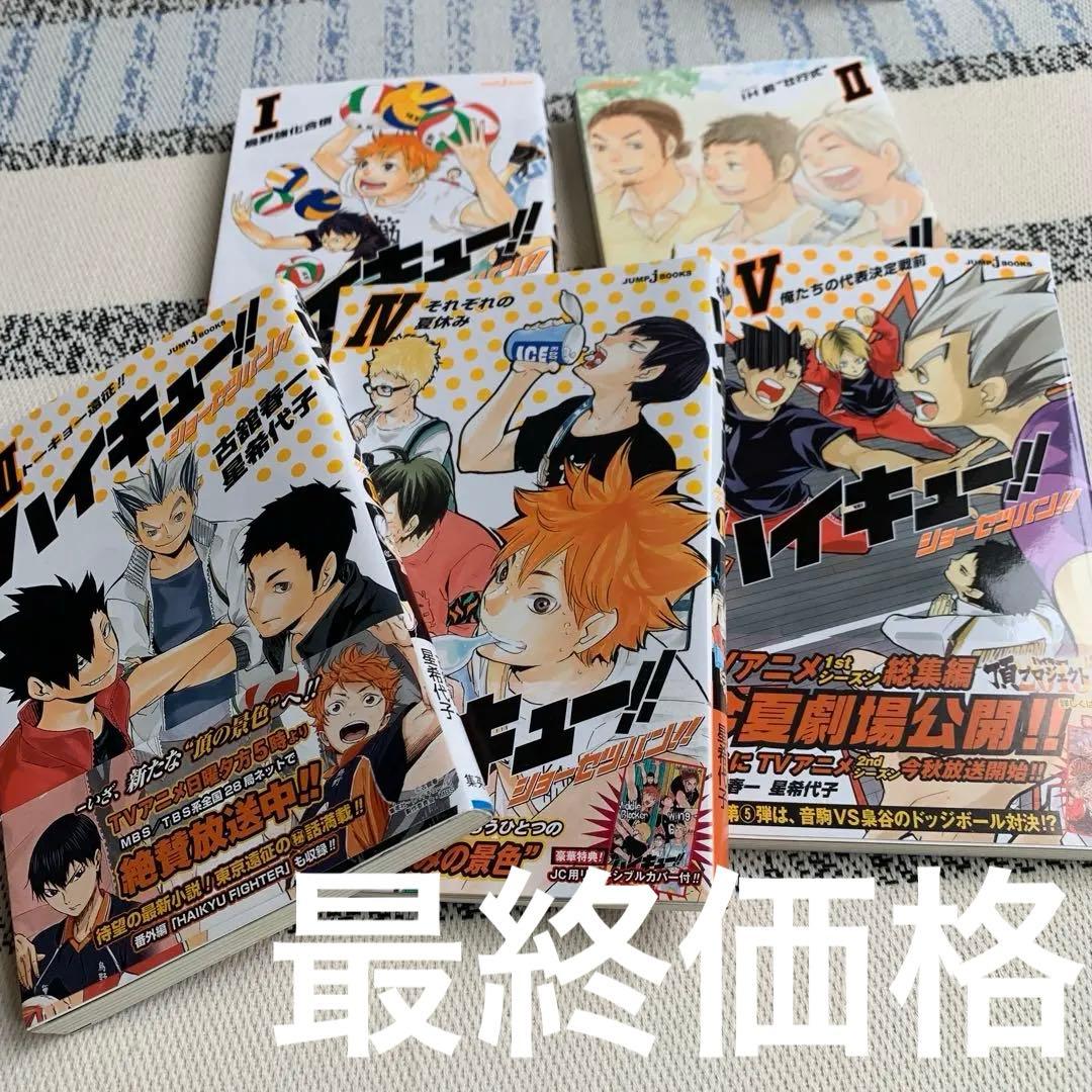 美品‼️ハイキュー！ 番外編 小説 - メルカリ