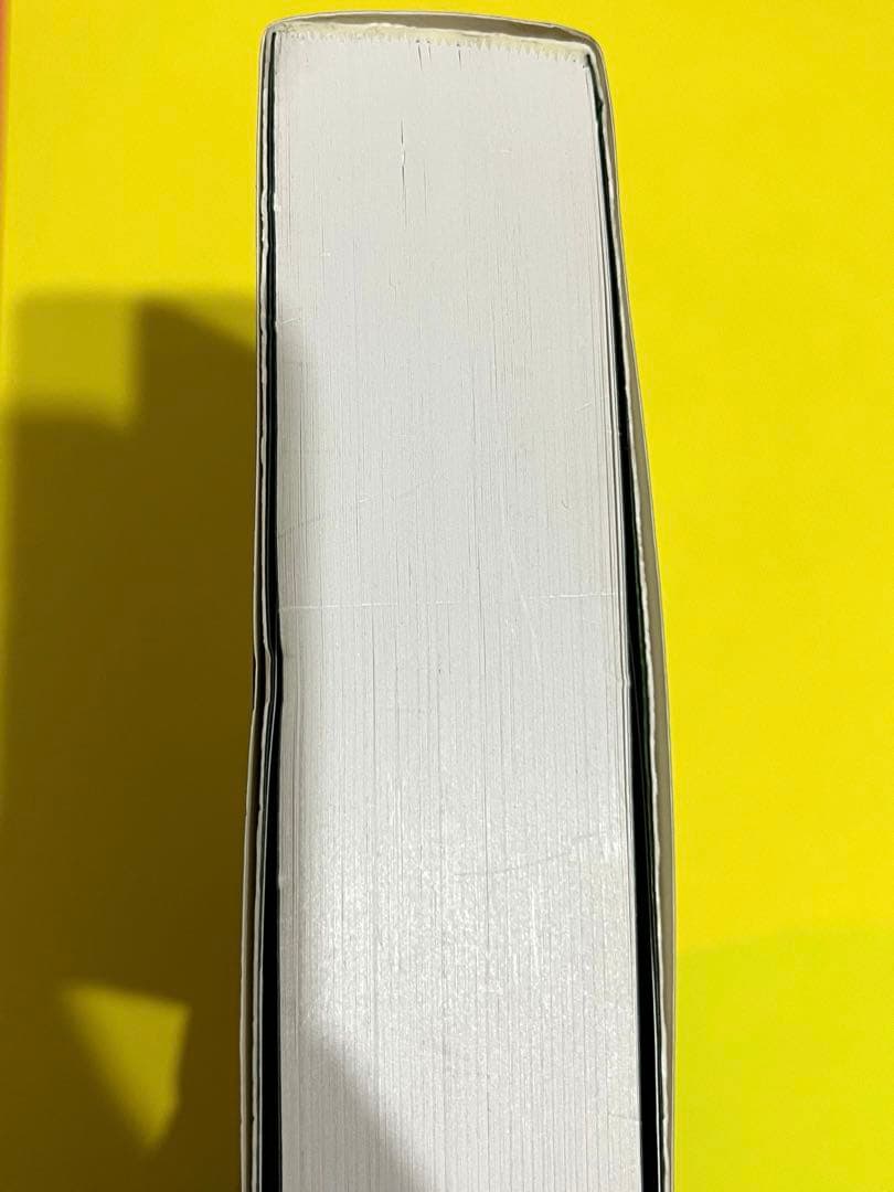 ☆絶版☆未使用 オーラソーマタロット 解説本 マイクブース 著 大野