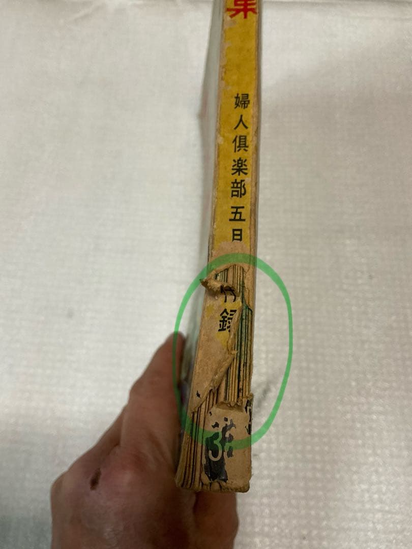 昭和三十三年／ブラウス全集。婦人倶楽部五月号付録。【破れ折れ曲がり御座います】。