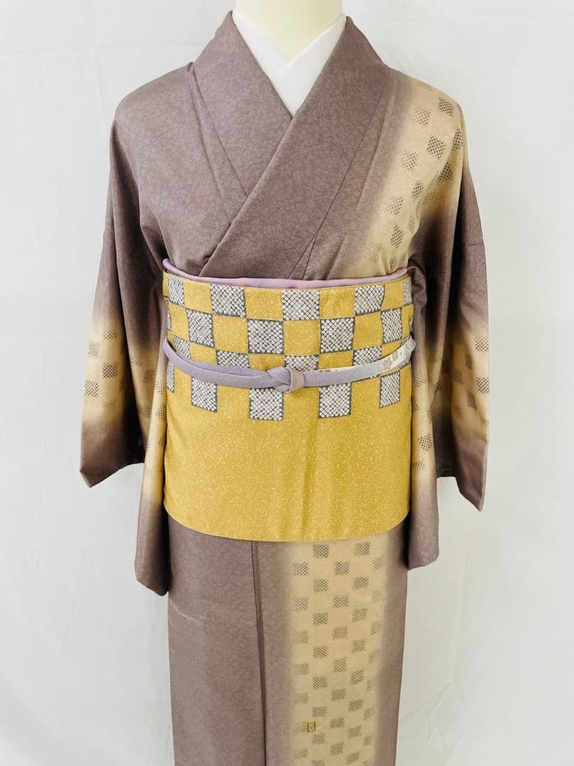 お見分け済　　佐野一生　染大島紬創作訪問着と袋帯セット