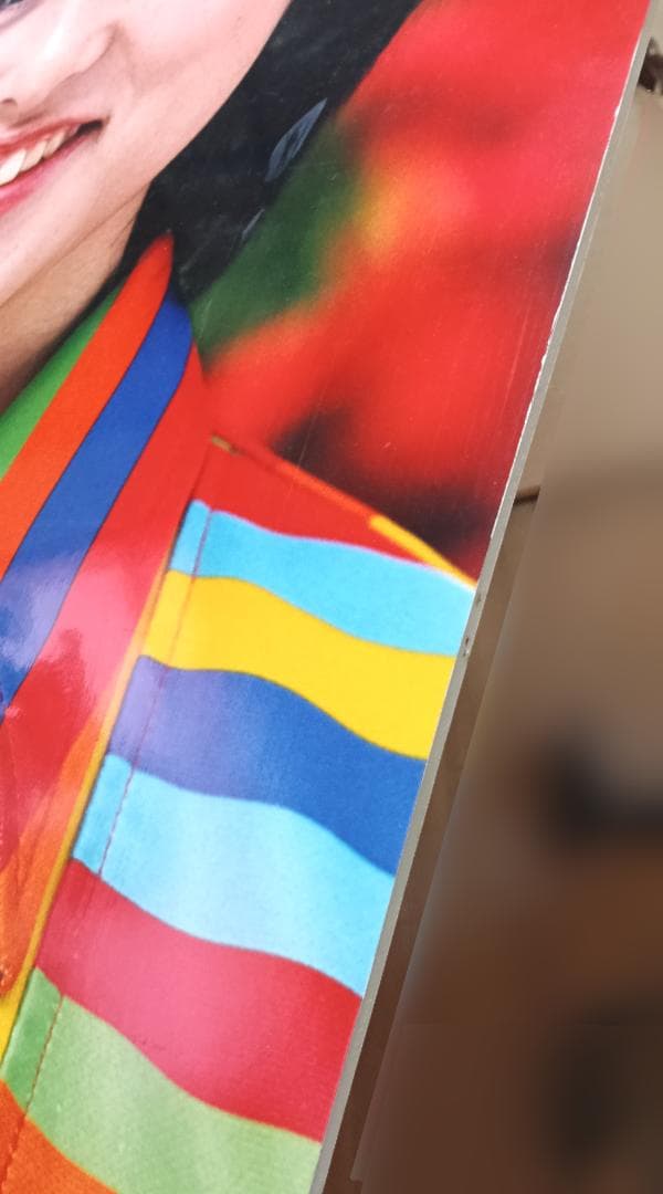 田中麗奈　フジカラー店頭パネル　56cm×90cm×0.8cm