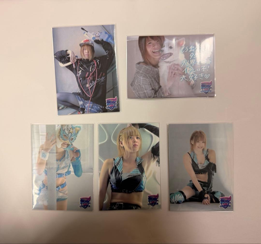 女子プロレス マリーゴールド 岩谷麻優 15周年カード 5種セット E