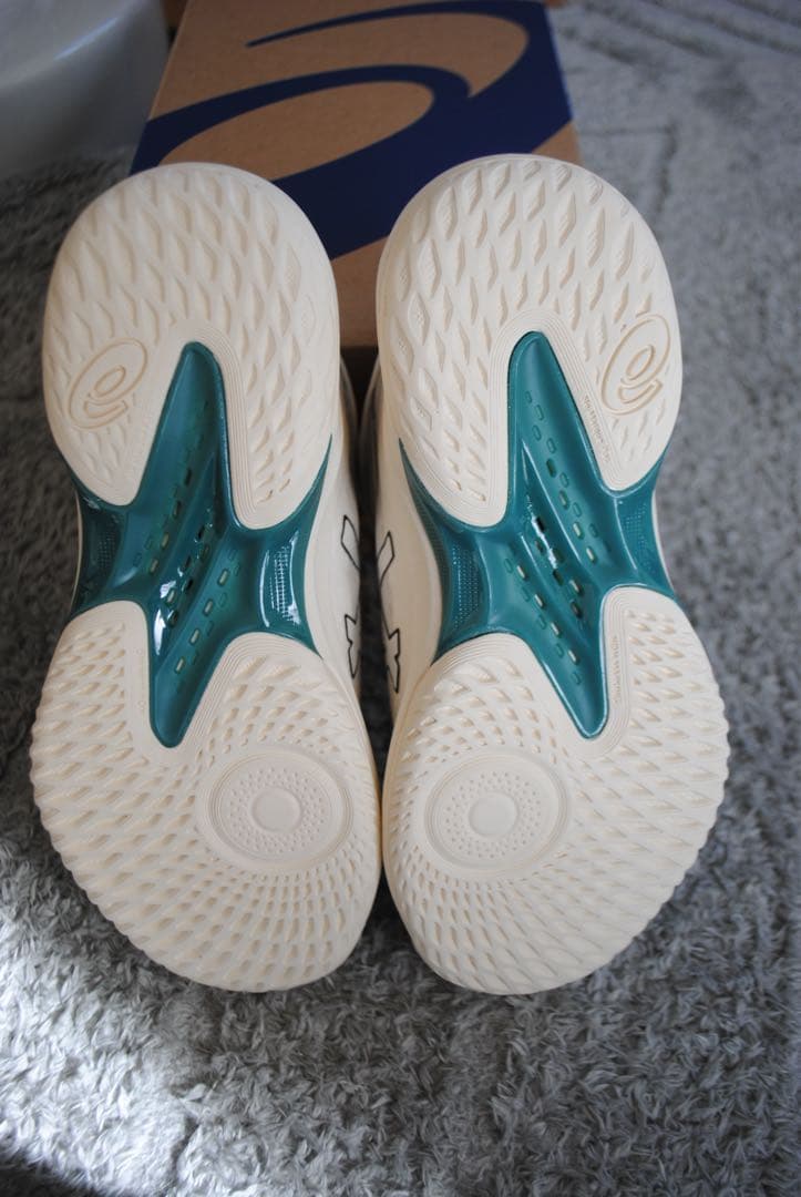 asics バッシュgelhoop v17 ゲルフープv17 22.5cm