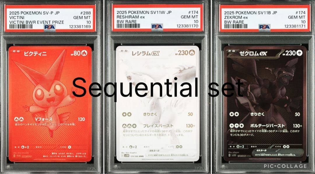 特価】PSA10 3連番 ビクティニ レシラム ゼクロム BWR 図鑑番号順