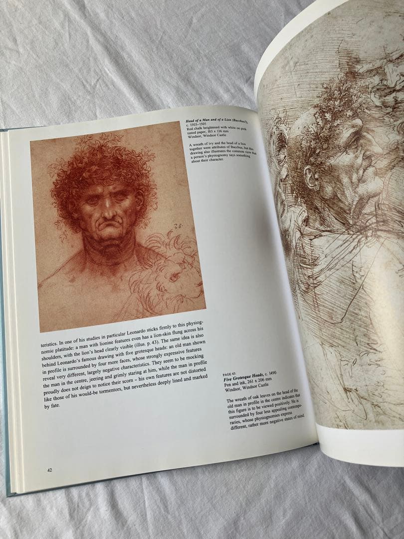 洋書古書】leonardo da vinci（カバーなし） - メルカリ