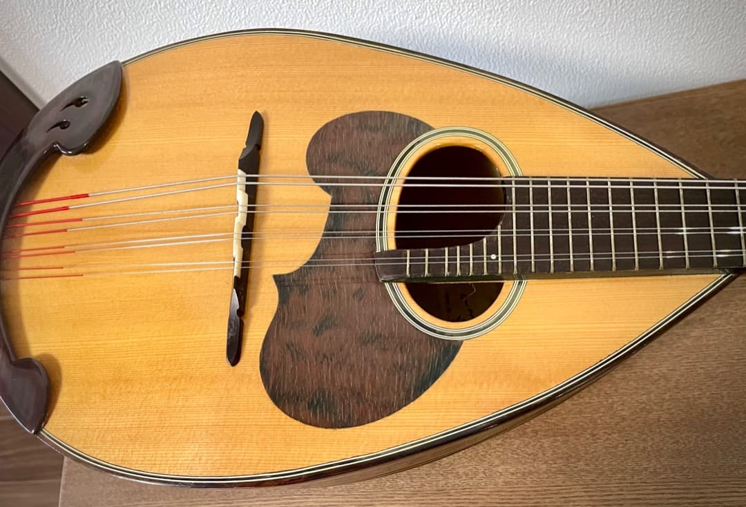 SUZUKI マンドリン M-60 美品 ハードケース付き-もんめ様 リクエスト 3