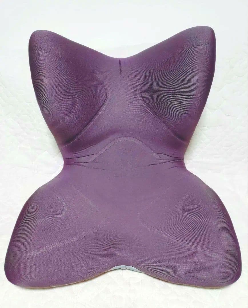 スタイルプレミアム 骨盤・姿勢矯正クッション Style PREMIUM | スタイルプレミアム 骨盤 椅子 座椅子 姿勢サポート