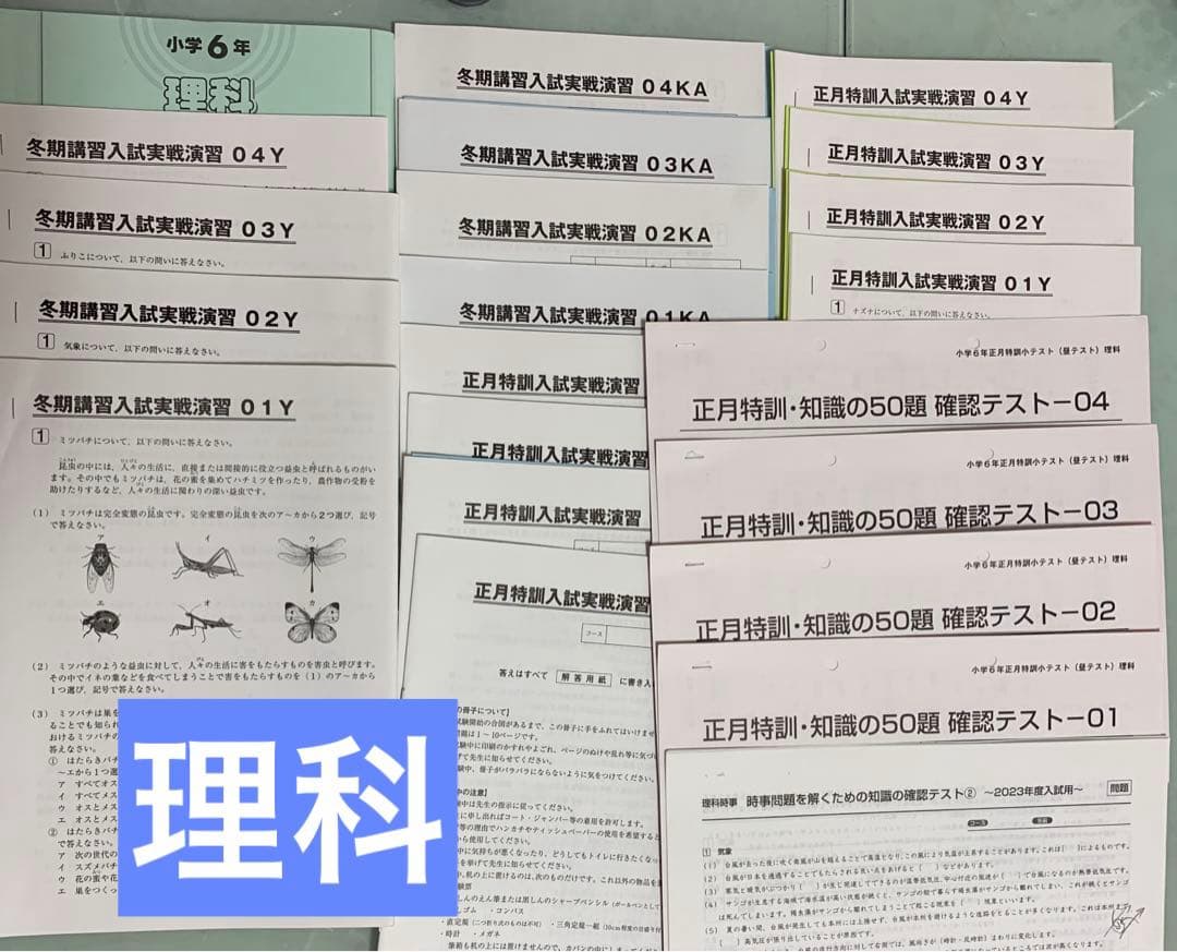 サピックス 冬期講習・正月特訓四科目(開成コース) 6年生 フルセット