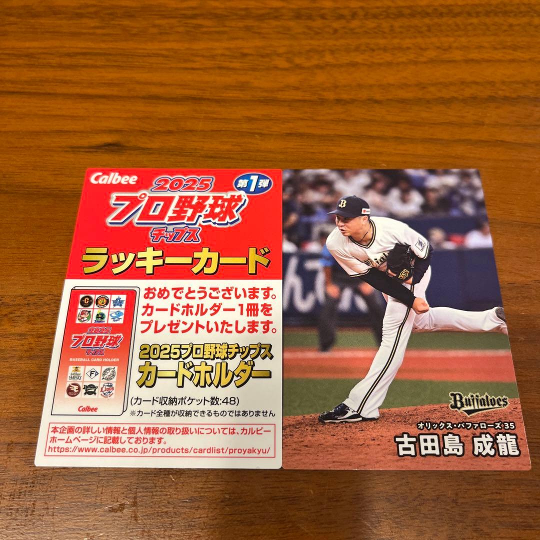 プロ野球チップス 2025 カードホルダー - メルカリ