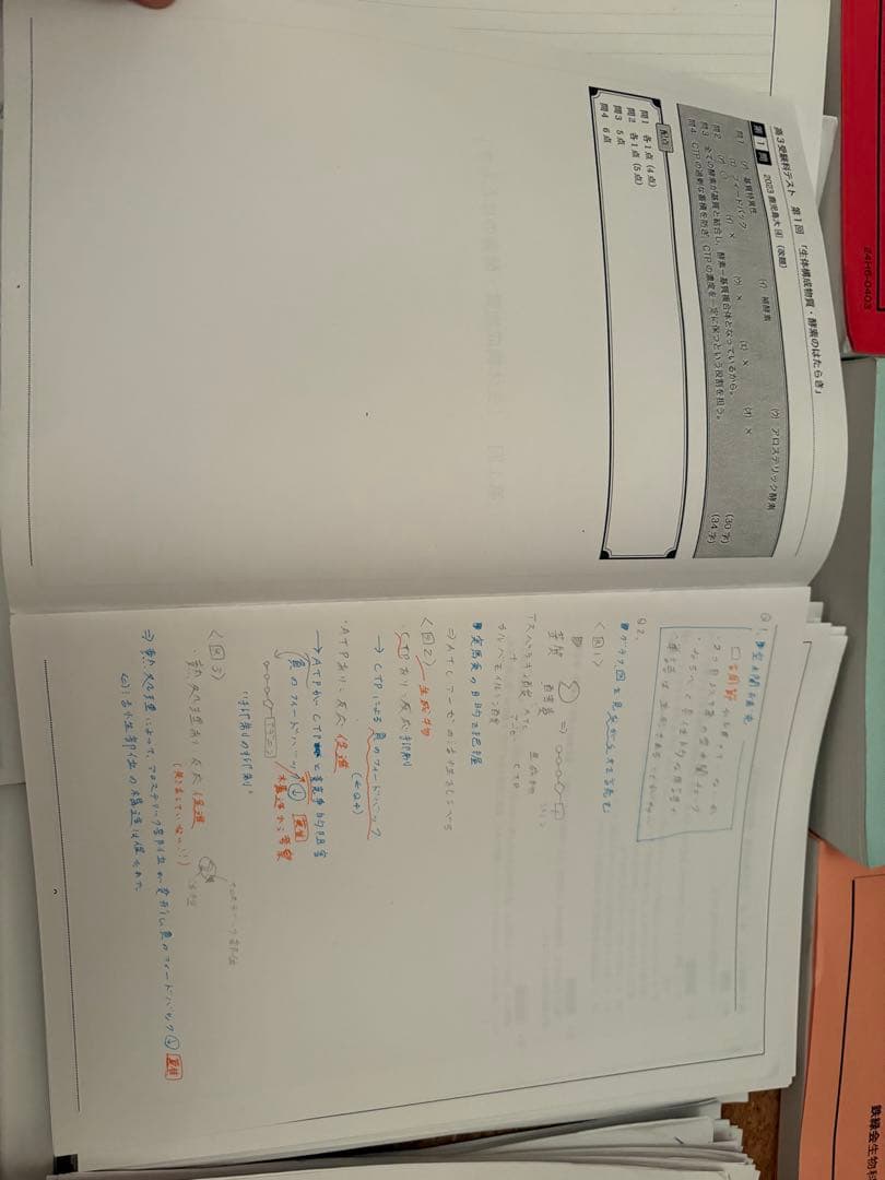 く*ン様 一年分2024鉄緑会生物Aクラス（上位）一式全てあります