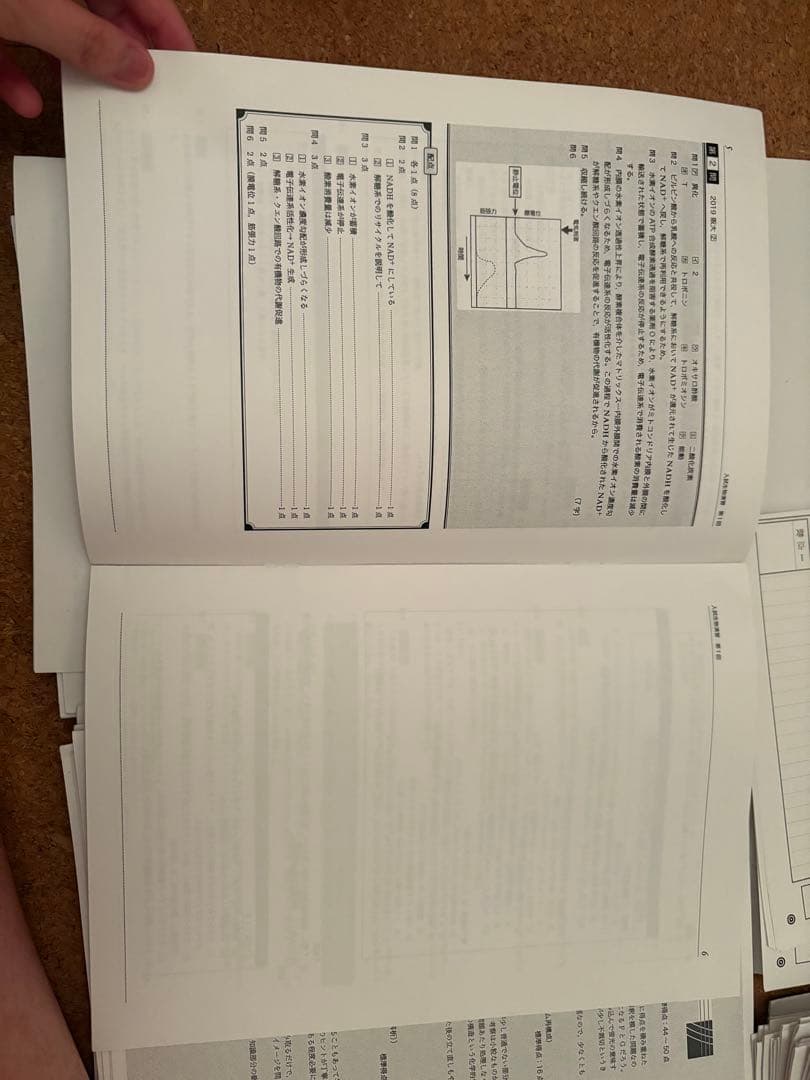 く*ン様 一年分2024鉄緑会生物Aクラス（上位）一式全てあります