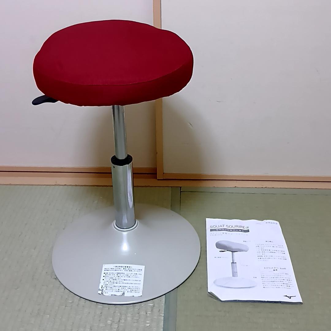 MIZUNO ミズノ スクワットスリールα 取扱説明書付属 - メルカリ