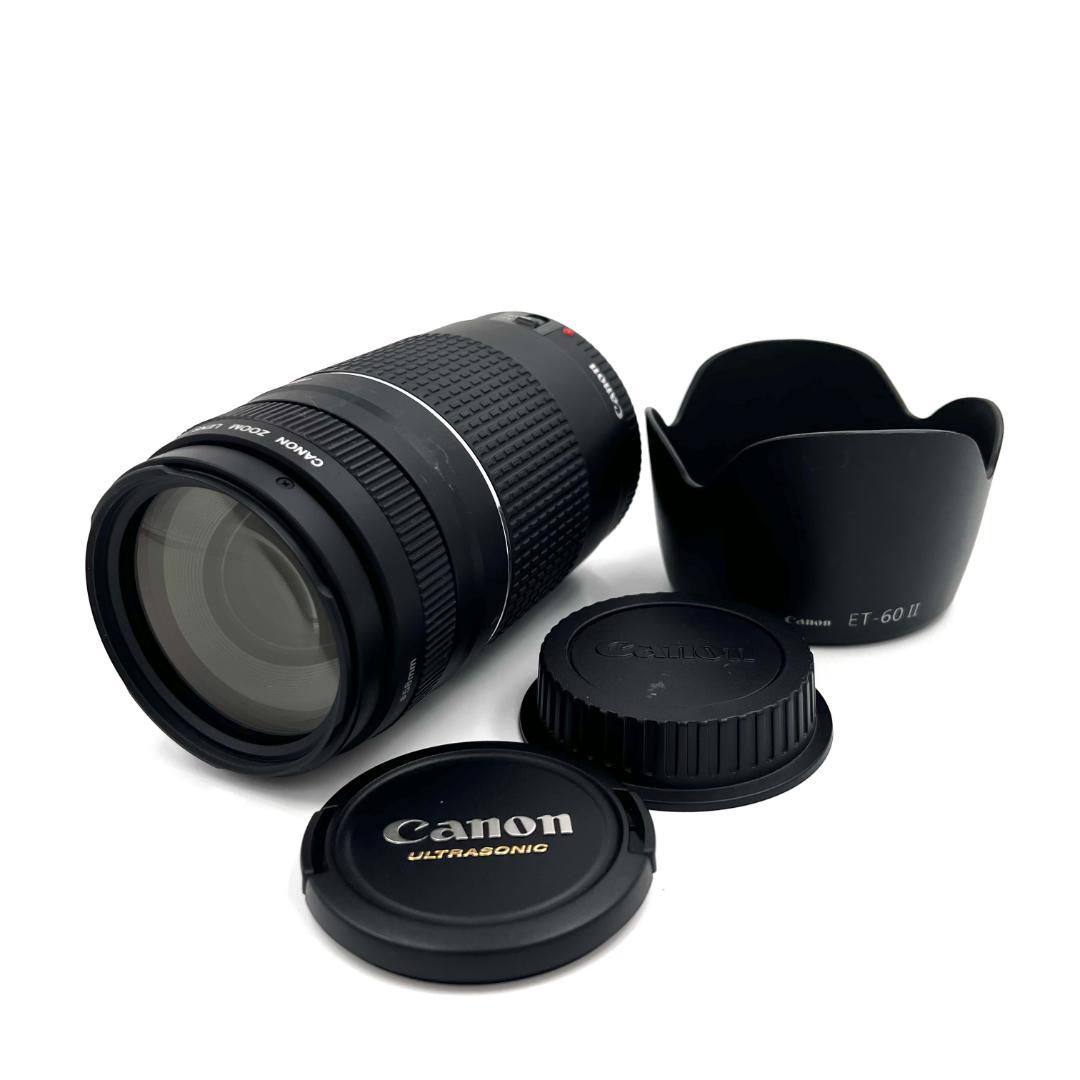 望遠レンズ Canon EF 75-300mm F4-5.6 USM #216 20250430130840_34_.jpg