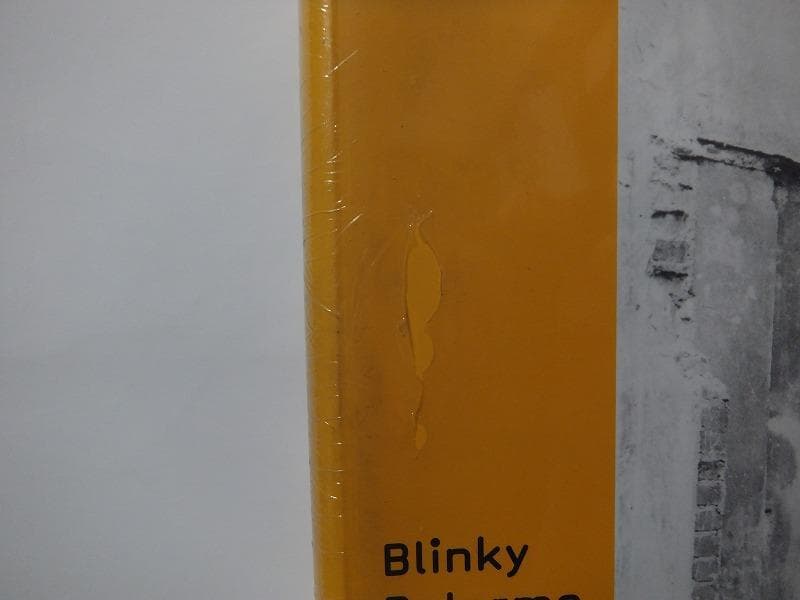 ブリンキー・パレルモ Blinky Palermo /未開封洋書!の通販はau PAY