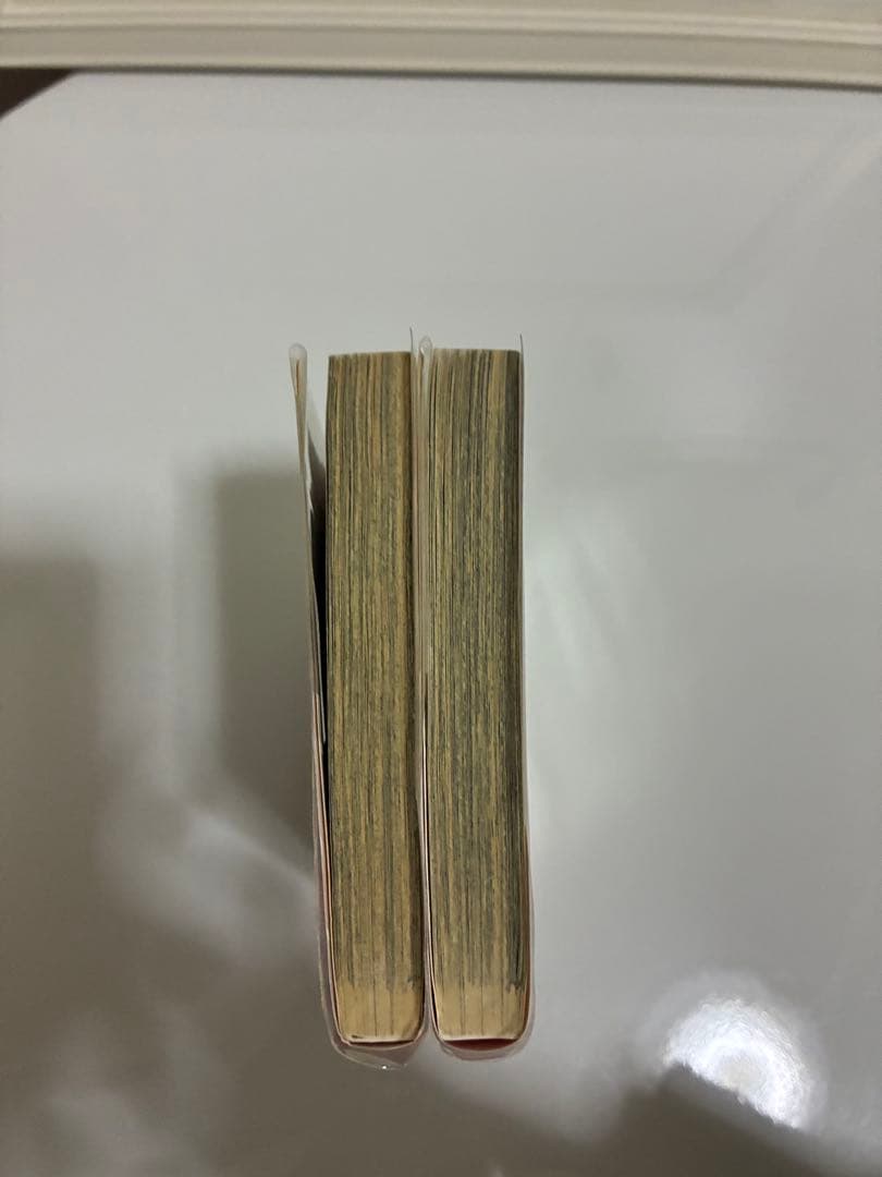 紫よりい 生下絵 触るの禁止俺のモノ