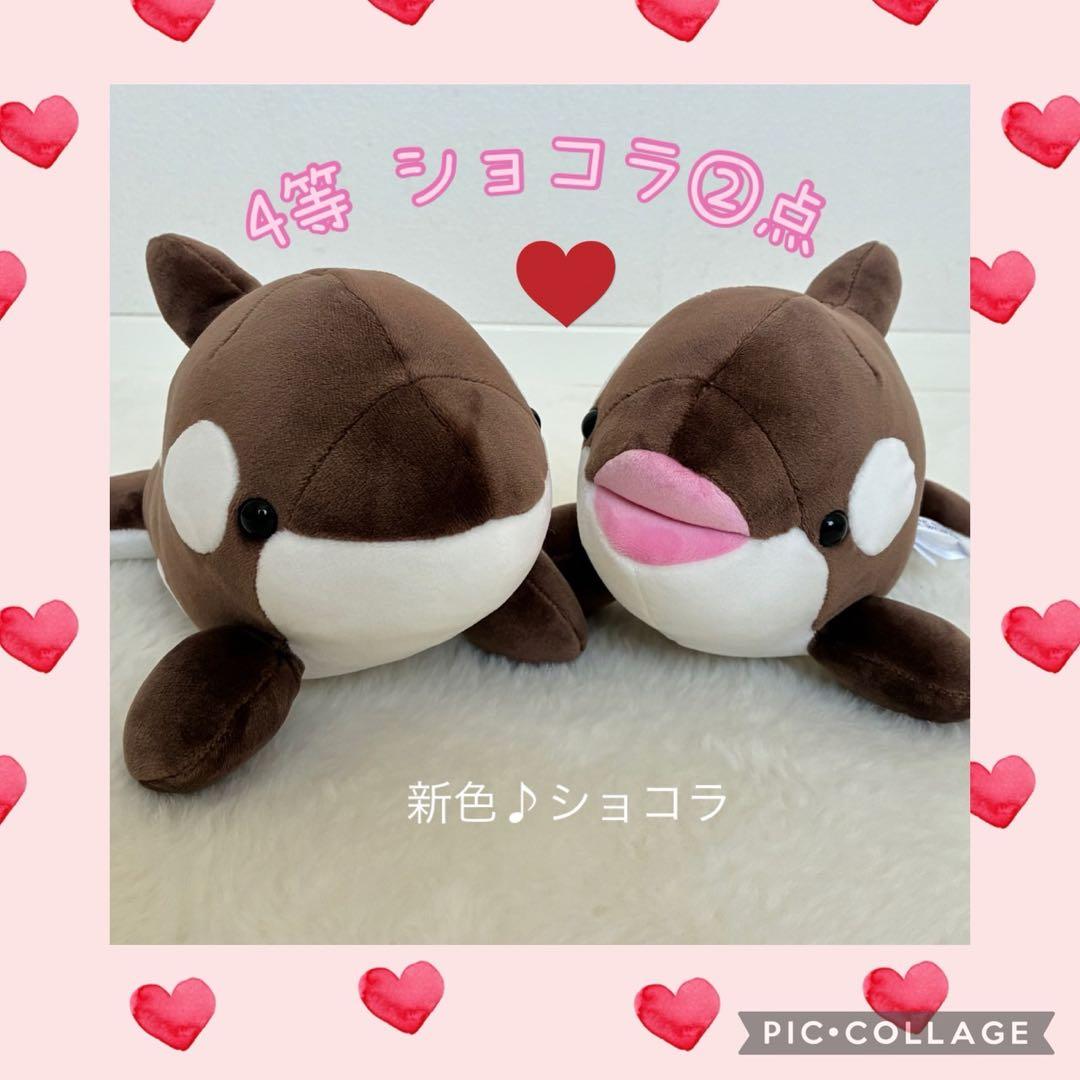 須磨シーワールド シャチ オルカくじ 新色 ショコラデュオカラー 4等