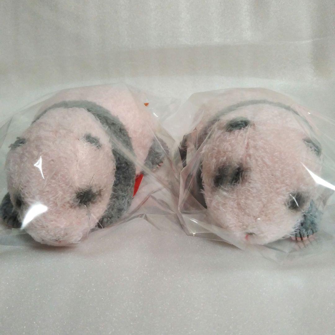 上野動物園 パンダ ぬいぐるみ ほんとの大きさパンダの仔 暁暁 蕾蕾