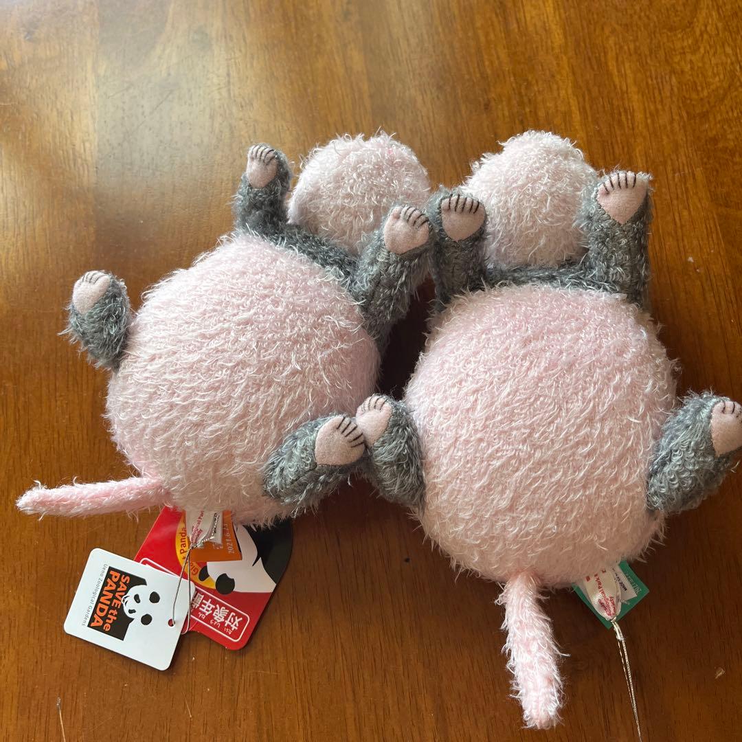 ほんとの大きさパンダの仔 暁暁(シャオシャオ) 蕾蕾（レイレイ