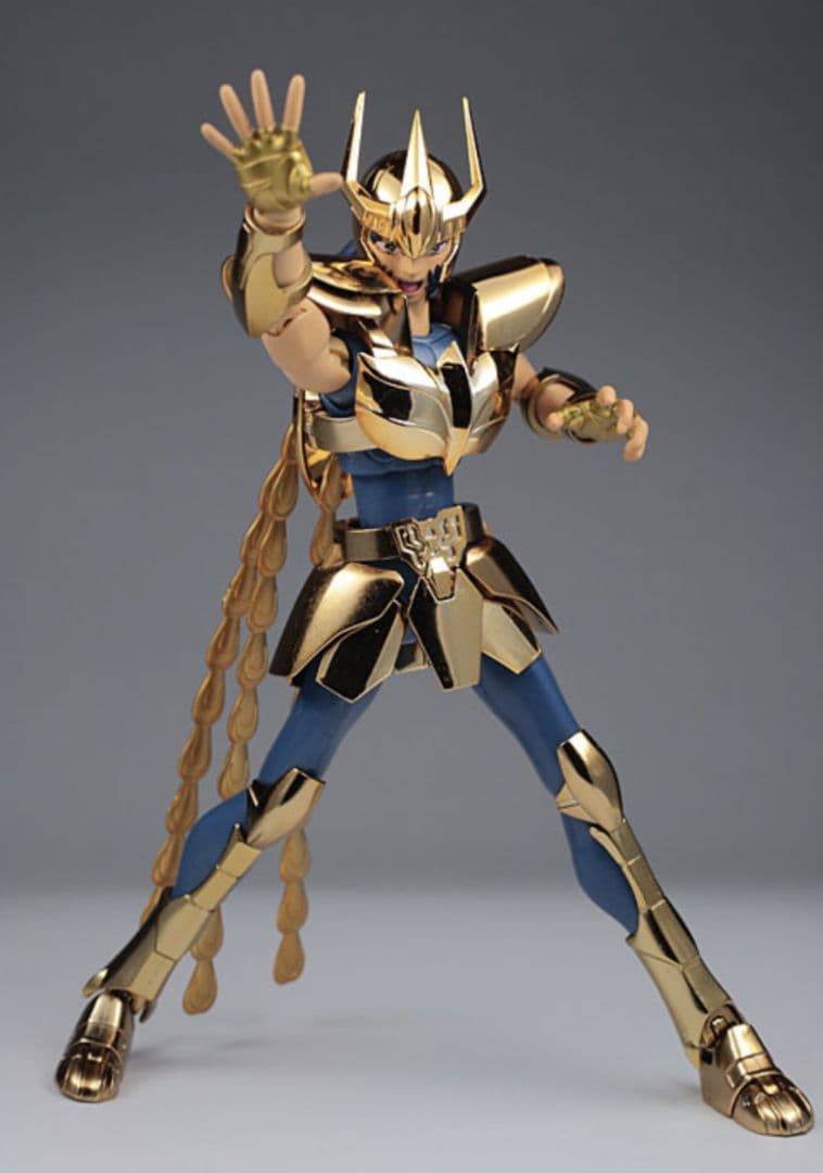 聖闘士聖衣神話 初期青銅聖衣 -LIMITED GOLD-　未使用 5体セット