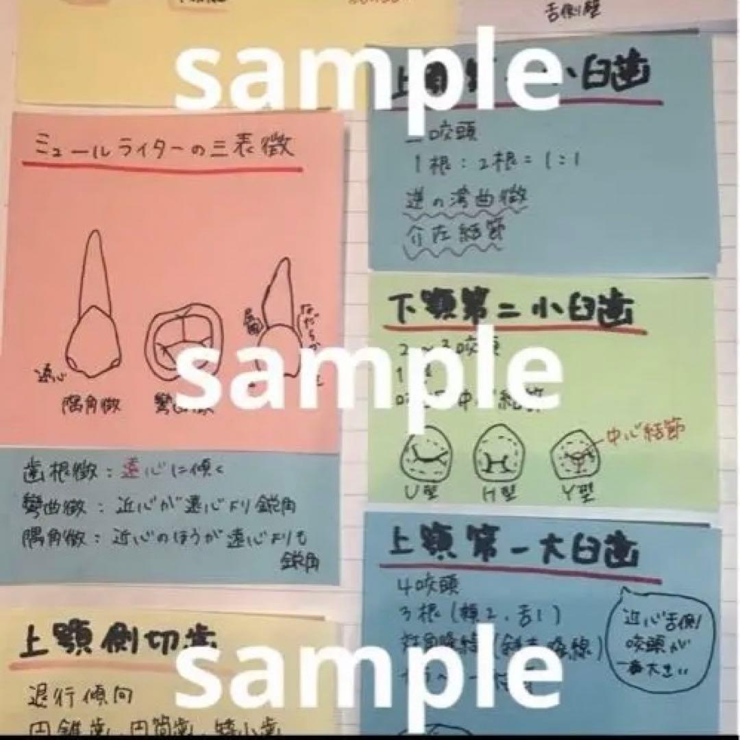 歯科衛生士国家試験対策まとめノート - メルカリ