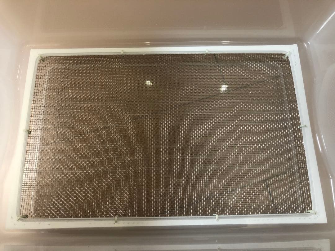 雫工房 デュビア用飼育・繁殖ケージ 大型 二重底上段メッシュ底 - メルカリ