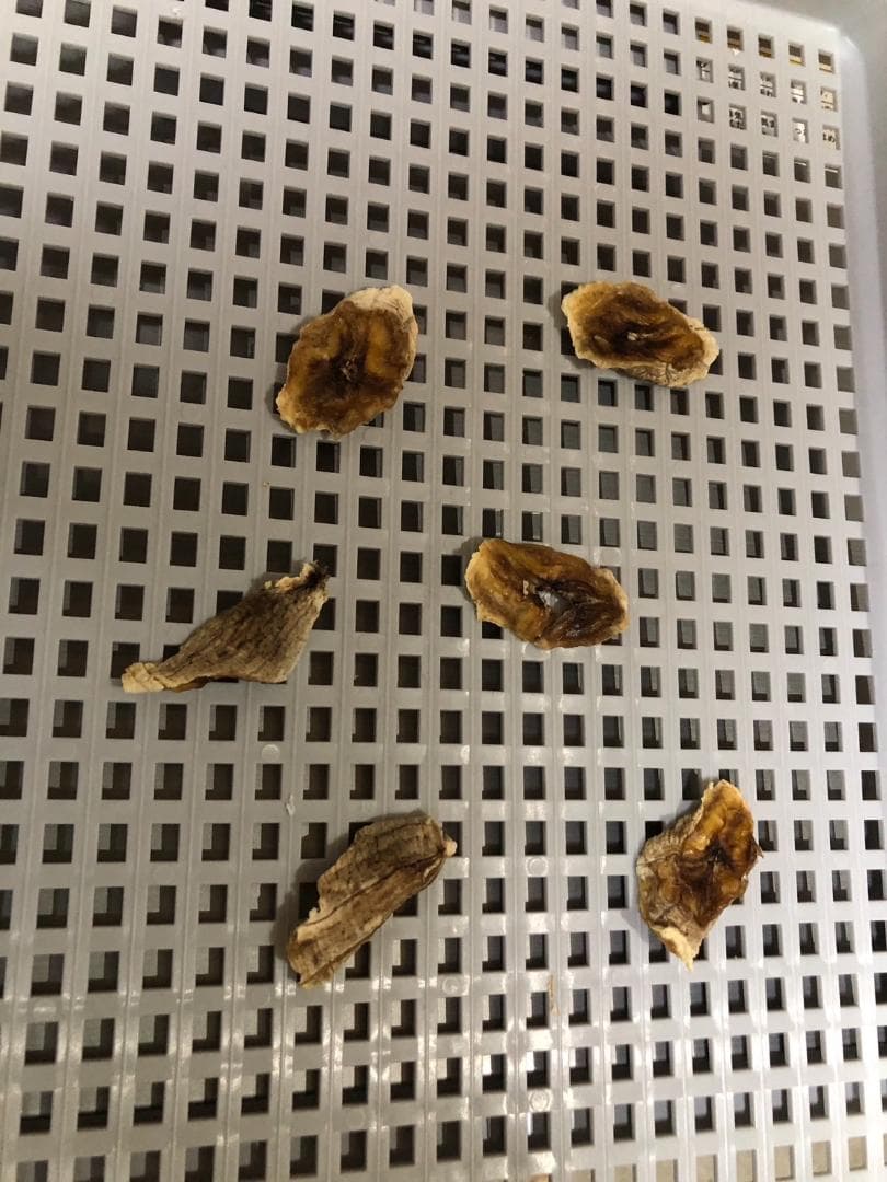 K☆1110 プラスワイズ 多目的電気乾燥機 DELIDR PY-FED 美品！ - メルカリ