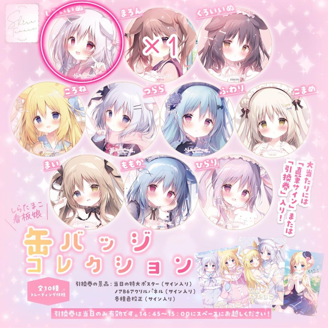 レア✩C103 ꒰ঌしらたま 先生໒꒱ 看板娘 缶バッジコレクション