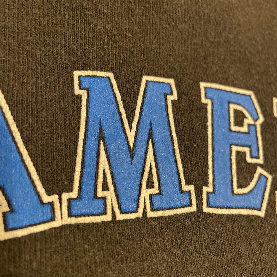 ハーレーダビッドソン スウェット 90s フレイム 炎 ビンテージ - メルカリ