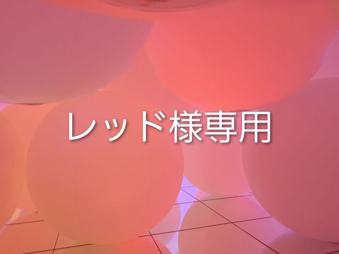 レッド KAWASAKI ～サンビームレッド～ - MaxFritz神戸 BLOG